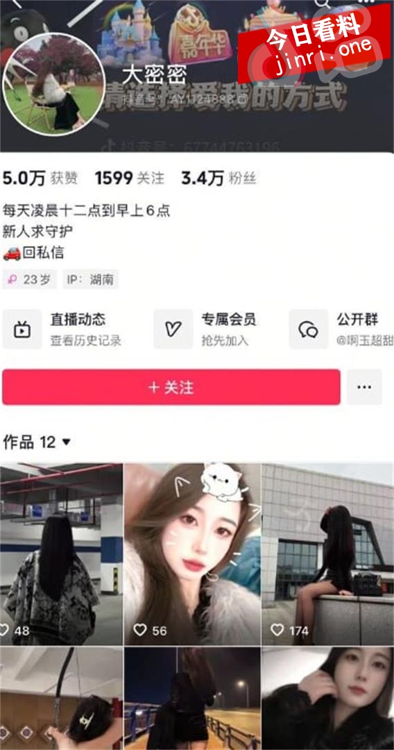 大密密 2.jpg