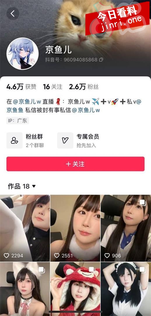 京鱼儿 2.jpg